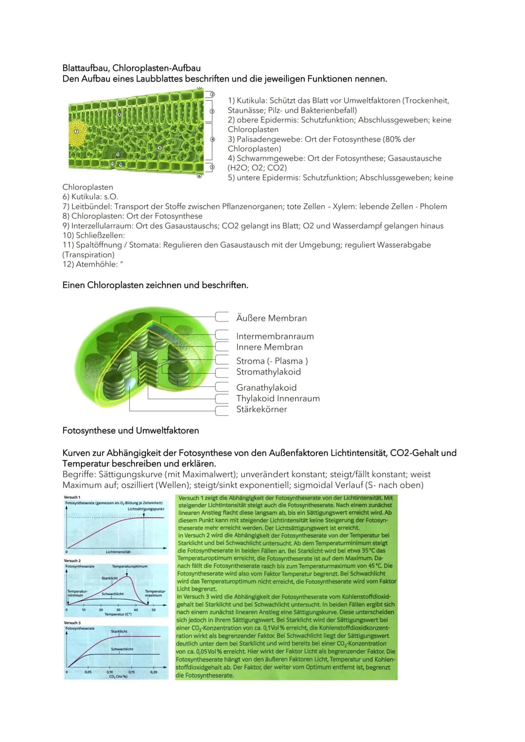 Blattaufbau, Chloroplasten-Aufbau
Den Aufbau eines Laubblattes beschriften und die jeweiligen Funktionen nennen.
Chloroplasten
6) Kutikula: 