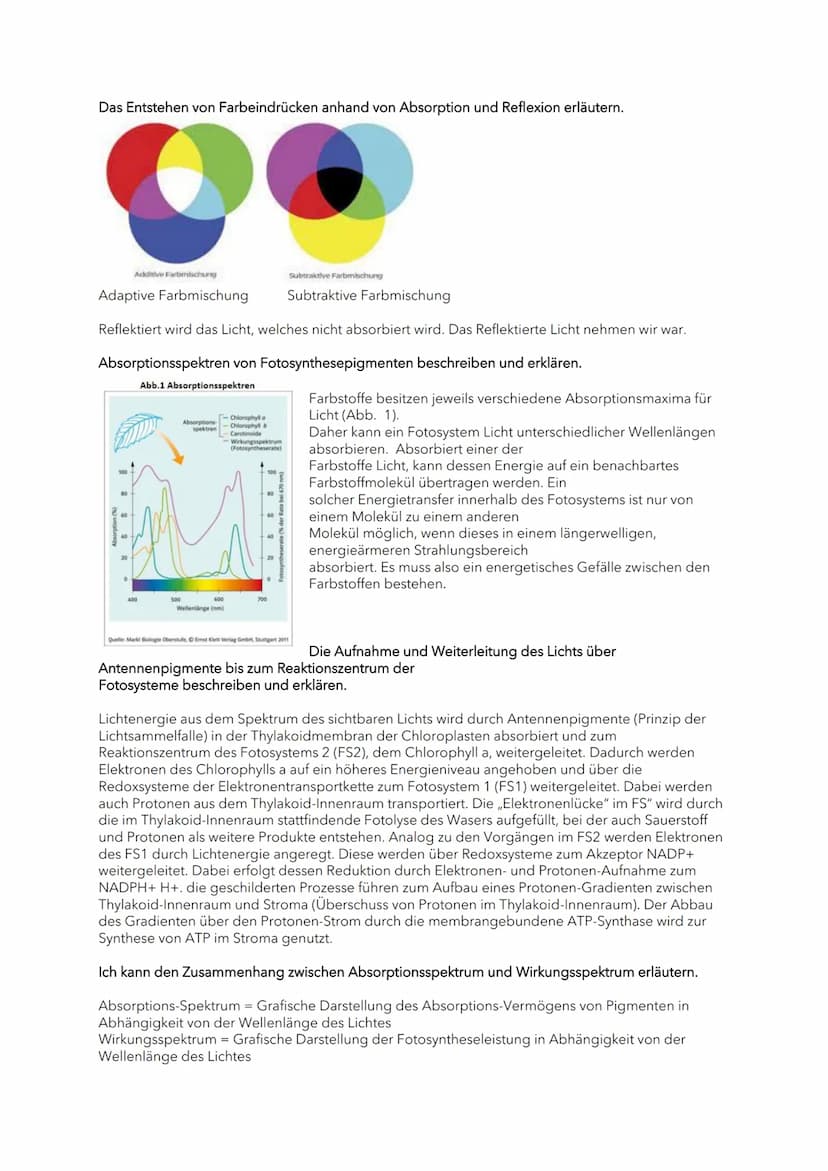 Blattaufbau, Chloroplasten-Aufbau
Den Aufbau eines Laubblattes beschriften und die jeweiligen Funktionen nennen.
Chloroplasten
6) Kutikula: 