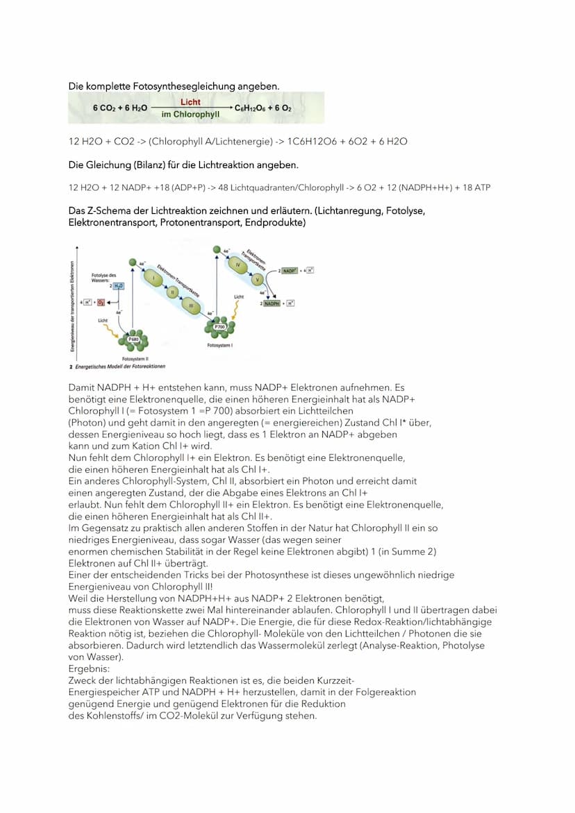 Blattaufbau, Chloroplasten-Aufbau
Den Aufbau eines Laubblattes beschriften und die jeweiligen Funktionen nennen.
Chloroplasten
6) Kutikula: 