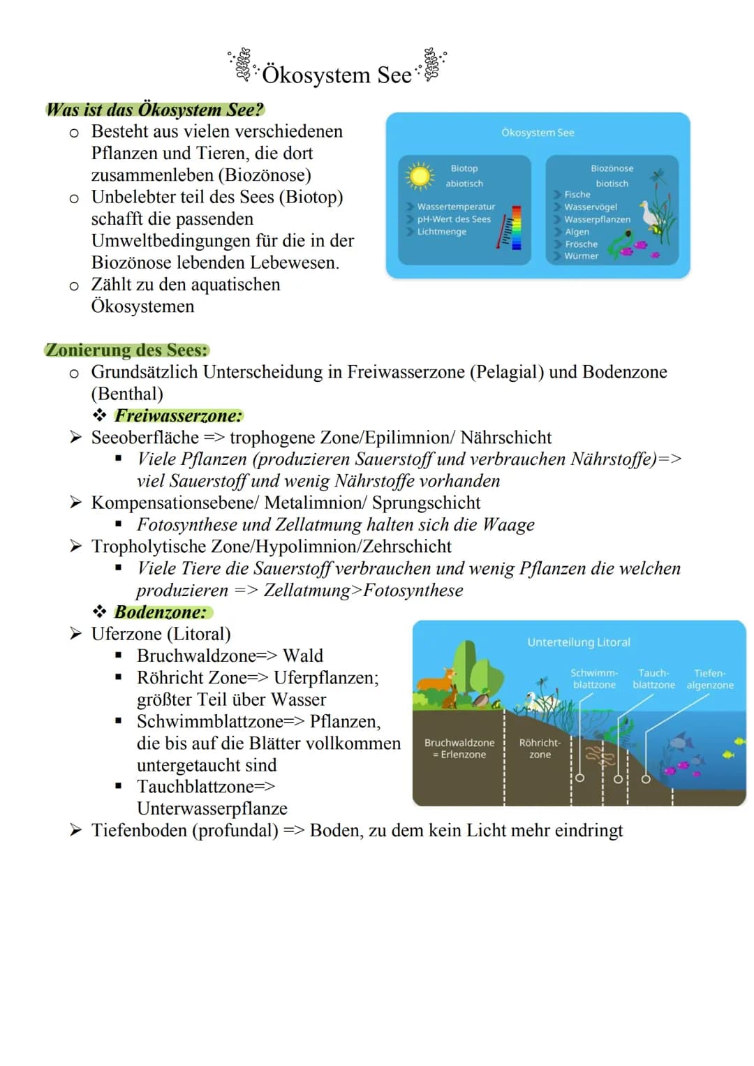 Was ist das Ökosystem See?
o Besteht aus vielen verschiedenen
Pflanzen und Tieren, die dort
zusammenleben (Biozönose)
o Unbelebter teil des 