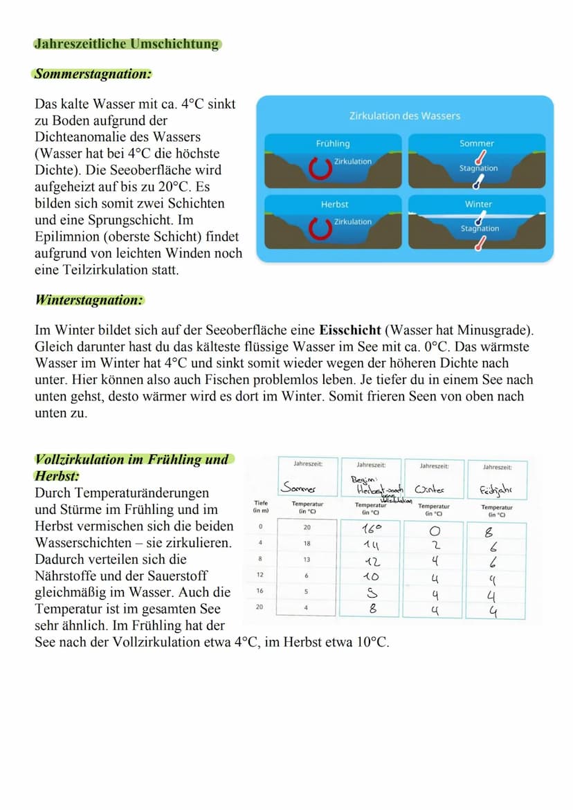 Was ist das Ökosystem See?
o Besteht aus vielen verschiedenen
Pflanzen und Tieren, die dort
zusammenleben (Biozönose)
o Unbelebter teil des 