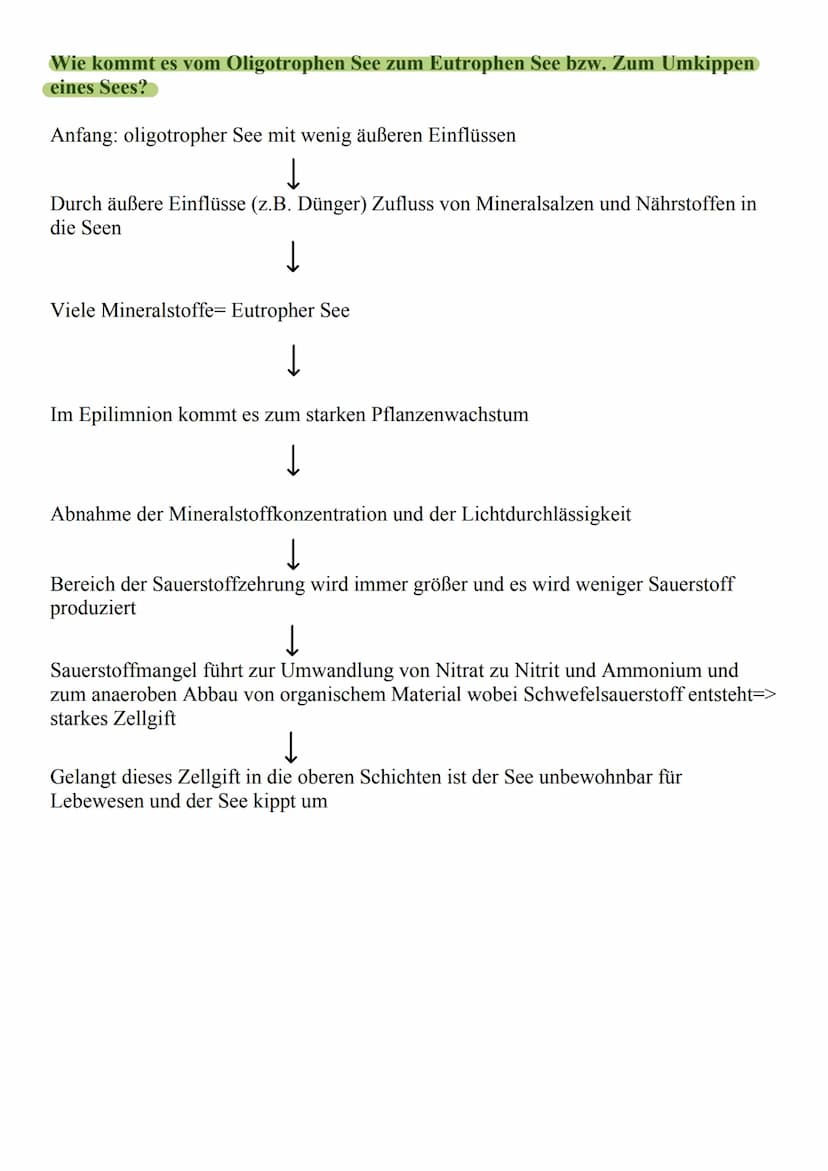 Was ist das Ökosystem See?
o Besteht aus vielen verschiedenen
Pflanzen und Tieren, die dort
zusammenleben (Biozönose)
o Unbelebter teil des 