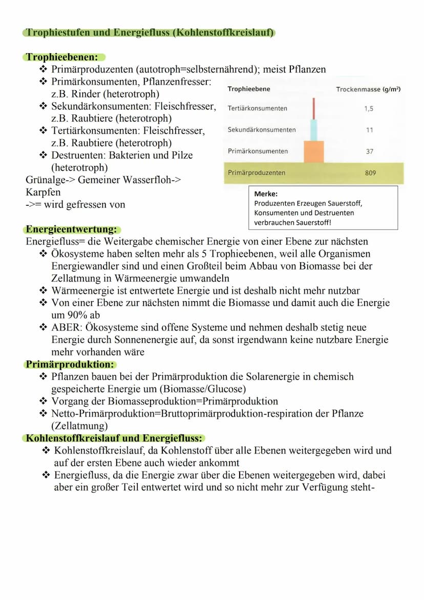 Was ist das Ökosystem See?
o Besteht aus vielen verschiedenen
Pflanzen und Tieren, die dort
zusammenleben (Biozönose)
o Unbelebter teil des 