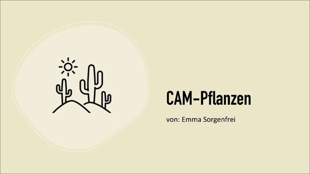CAM-Pflanzen