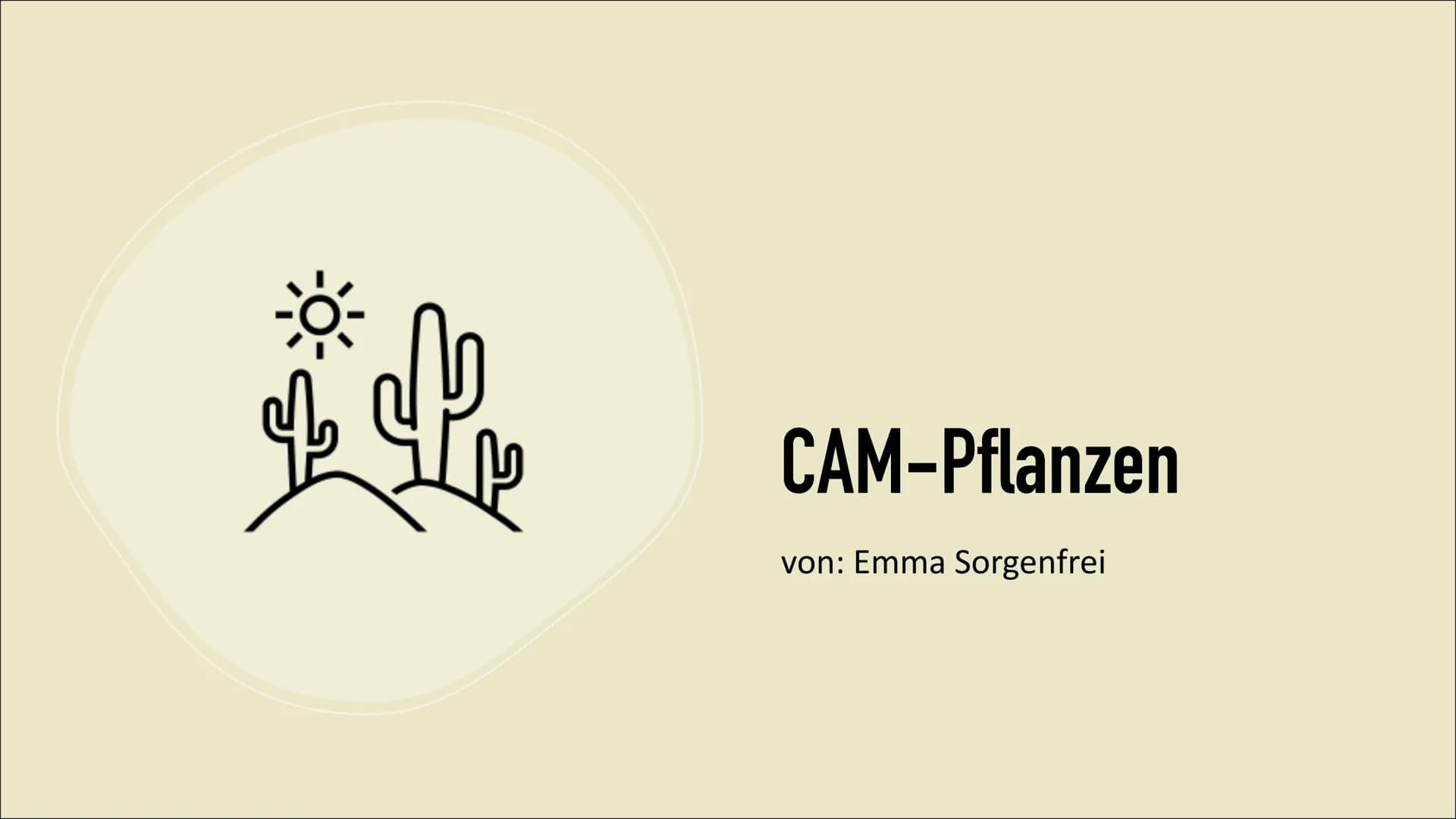 CAM-Pflanzen
von: Emma Sorgenfrei Gliederung
• Die Entdeckung
Wofür steht ,,CAM"?
• Was sind CAM-Pflanzen?
• Welche Pflanzen gehören zu den 