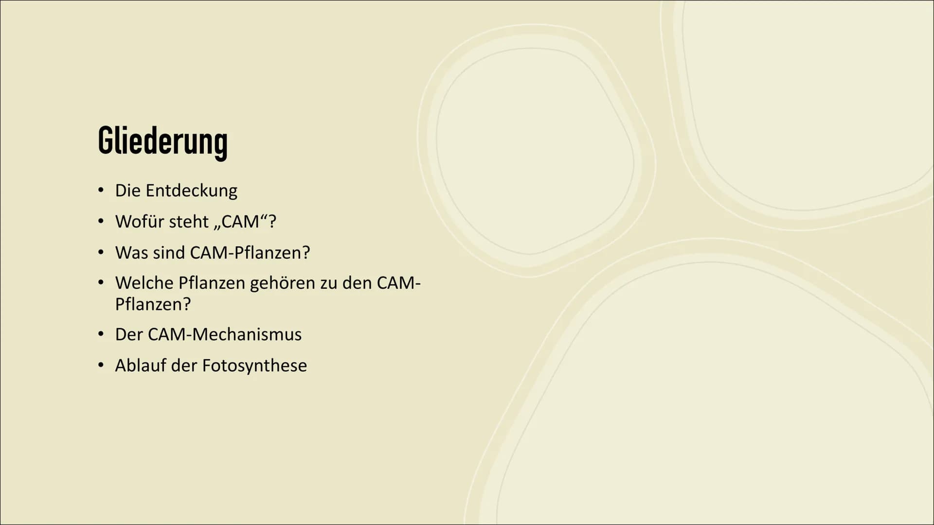 CAM-Pflanzen
von: Emma Sorgenfrei Gliederung
• Die Entdeckung
Wofür steht ,,CAM"?
• Was sind CAM-Pflanzen?
• Welche Pflanzen gehören zu den 
