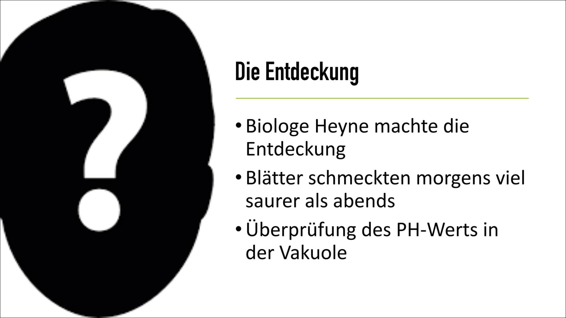 CAM-Pflanzen
von: Emma Sorgenfrei Gliederung
• Die Entdeckung
Wofür steht ,,CAM"?
• Was sind CAM-Pflanzen?
• Welche Pflanzen gehören zu den 