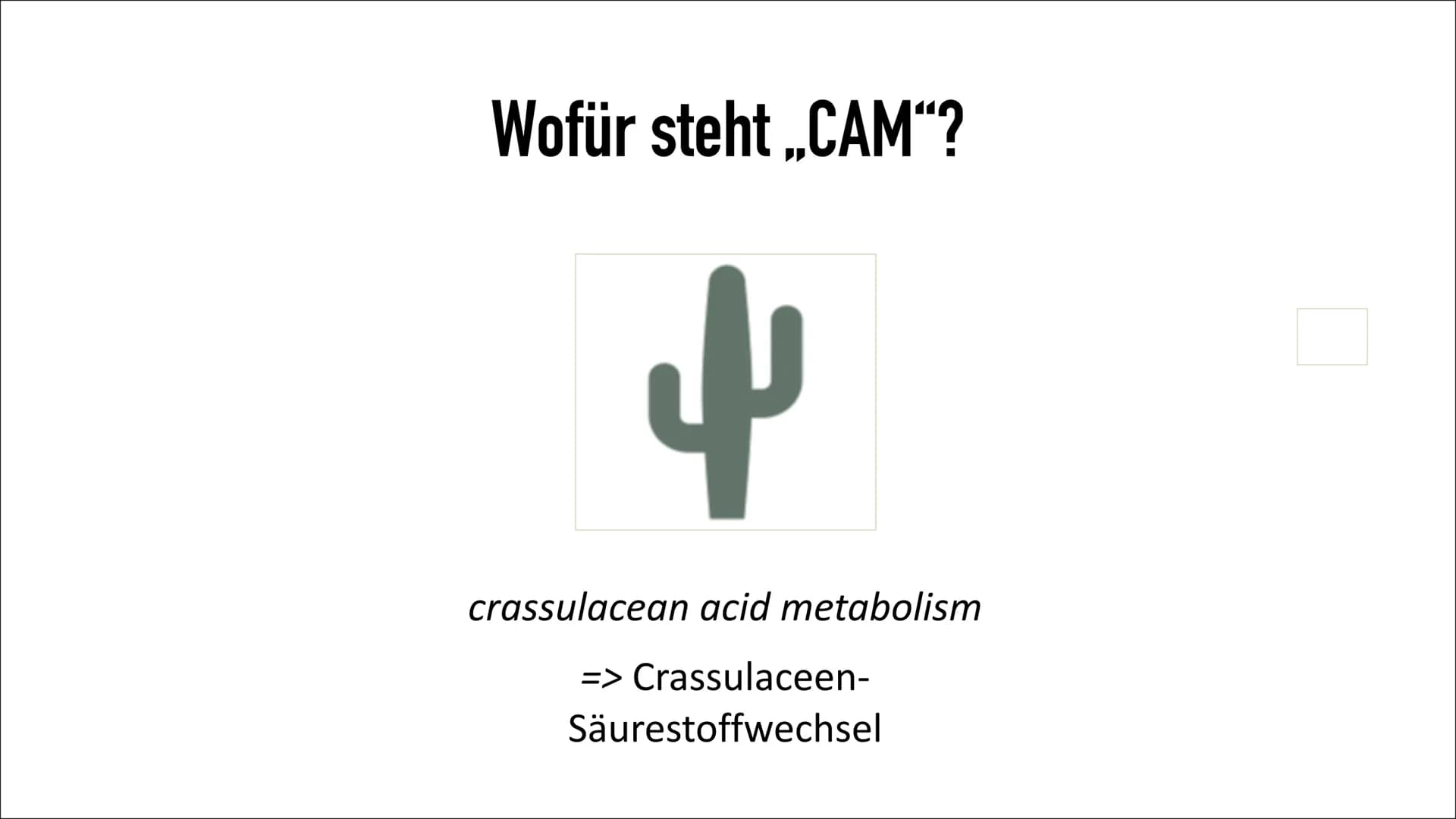 CAM-Pflanzen
von: Emma Sorgenfrei Gliederung
• Die Entdeckung
Wofür steht ,,CAM"?
• Was sind CAM-Pflanzen?
• Welche Pflanzen gehören zu den 