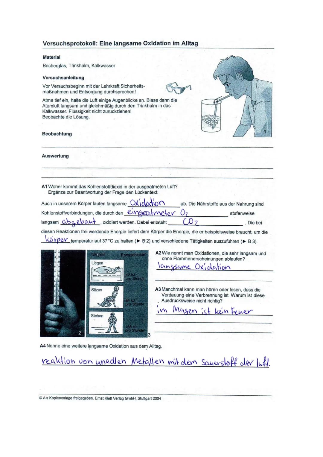 Versuchsprotokoll: Eine langsame Oxidation im Alltag
Material
Becherglas, Trinkhalm, Kalkwasser
Versuchsanleitung
Vor Versuchsbeginn mit der