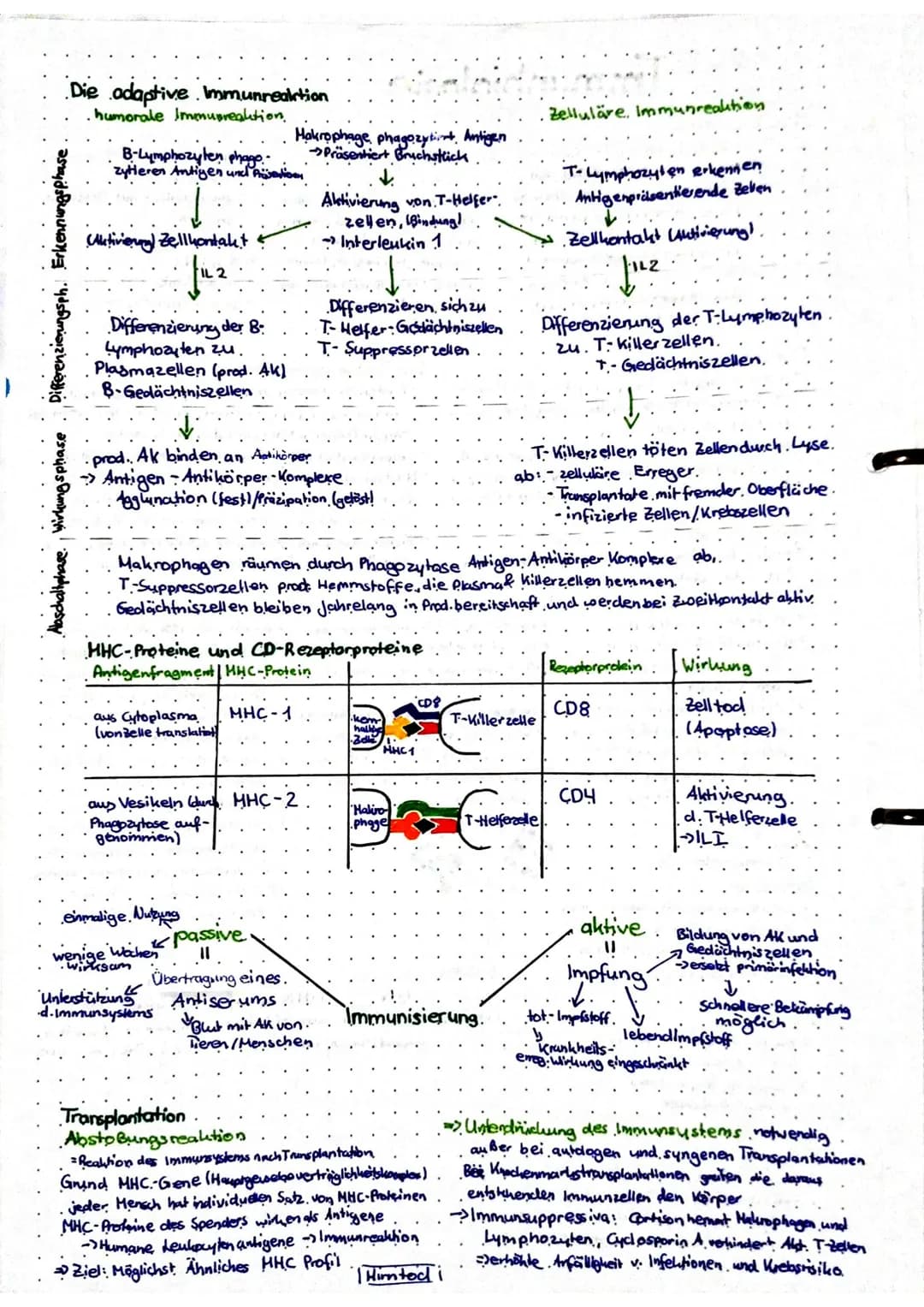 Die Barrieren
Immunbiologie
1. unspezifische passive. Abwehr
>methanisch: Haut Tränenflüssigkeit
Schleimhäute, Darm (verhindern Eindr.)
> ch