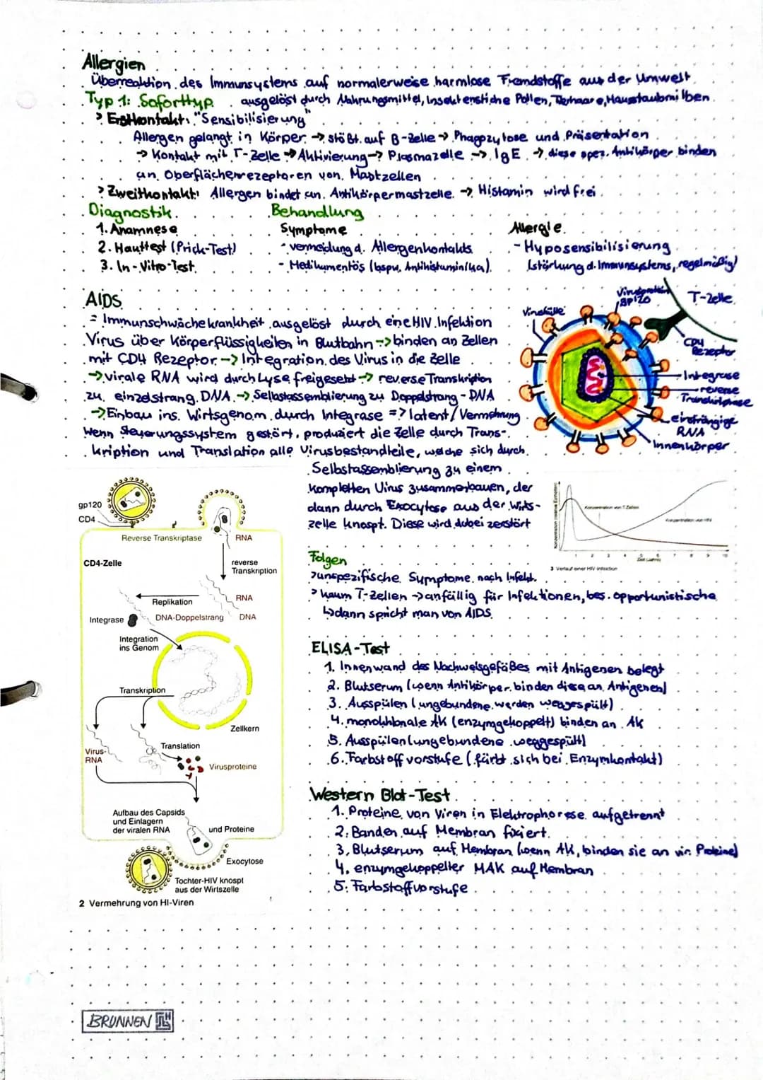 Die Barrieren
Immunbiologie
1. unspezifische passive. Abwehr
>methanisch: Haut Tränenflüssigkeit
Schleimhäute, Darm (verhindern Eindr.)
> ch