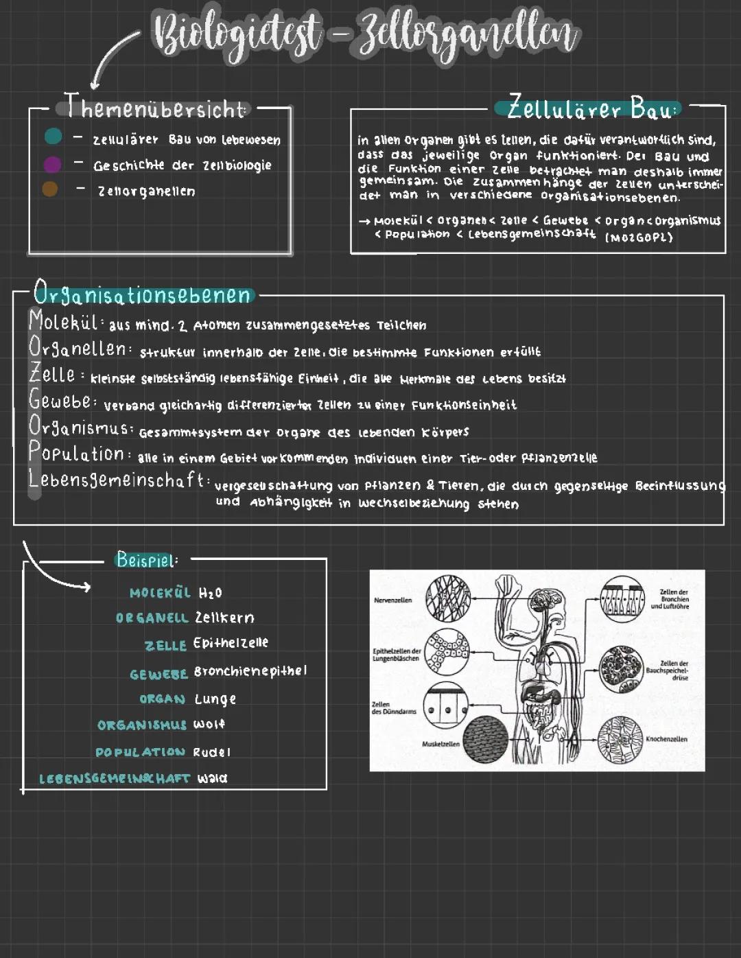 Zellbiologie🧬