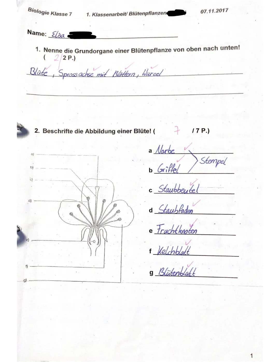 Biologie Klasse 7
f)
g)
e)
Name: Elisa
1. Nenne die Grundorgane einer Blütenpflanze von oben nach unten!
(22 P.)
Blüte, Sprossachse mit Blät