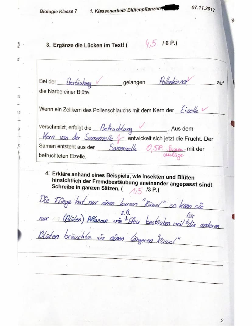 Biologie Klasse 7
f)
g)
e)
Name: Elisa
1. Nenne die Grundorgane einer Blütenpflanze von oben nach unten!
(22 P.)
Blüte, Sprossachse mit Blät
