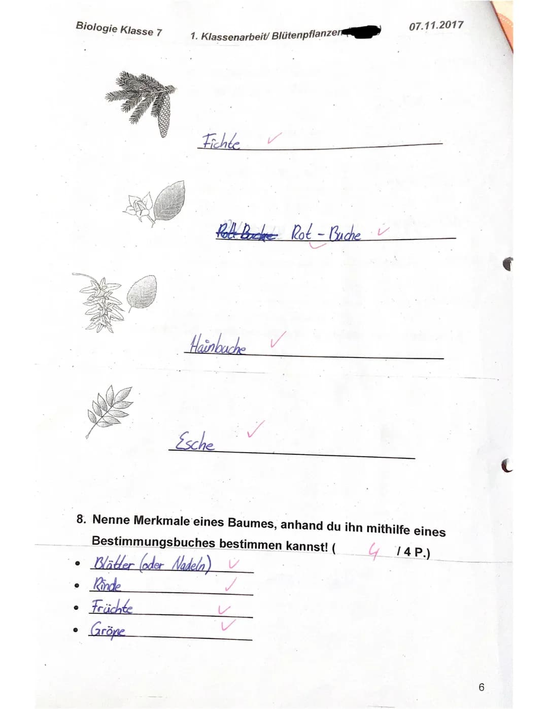 Biologie Klasse 7
f)
g)
e)
Name: Elisa
1. Nenne die Grundorgane einer Blütenpflanze von oben nach unten!
(22 P.)
Blüte, Sprossachse mit Blät