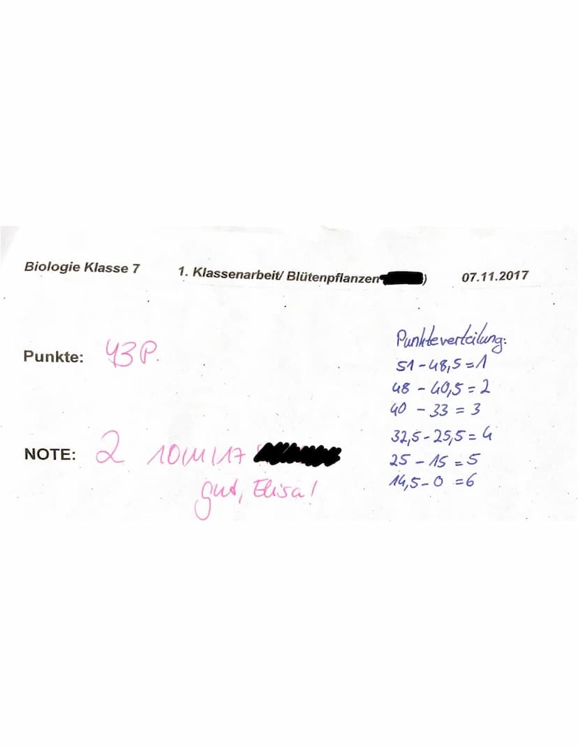Biologie Klasse 7
f)
g)
e)
Name: Elisa
1. Nenne die Grundorgane einer Blütenpflanze von oben nach unten!
(22 P.)
Blüte, Sprossachse mit Blät