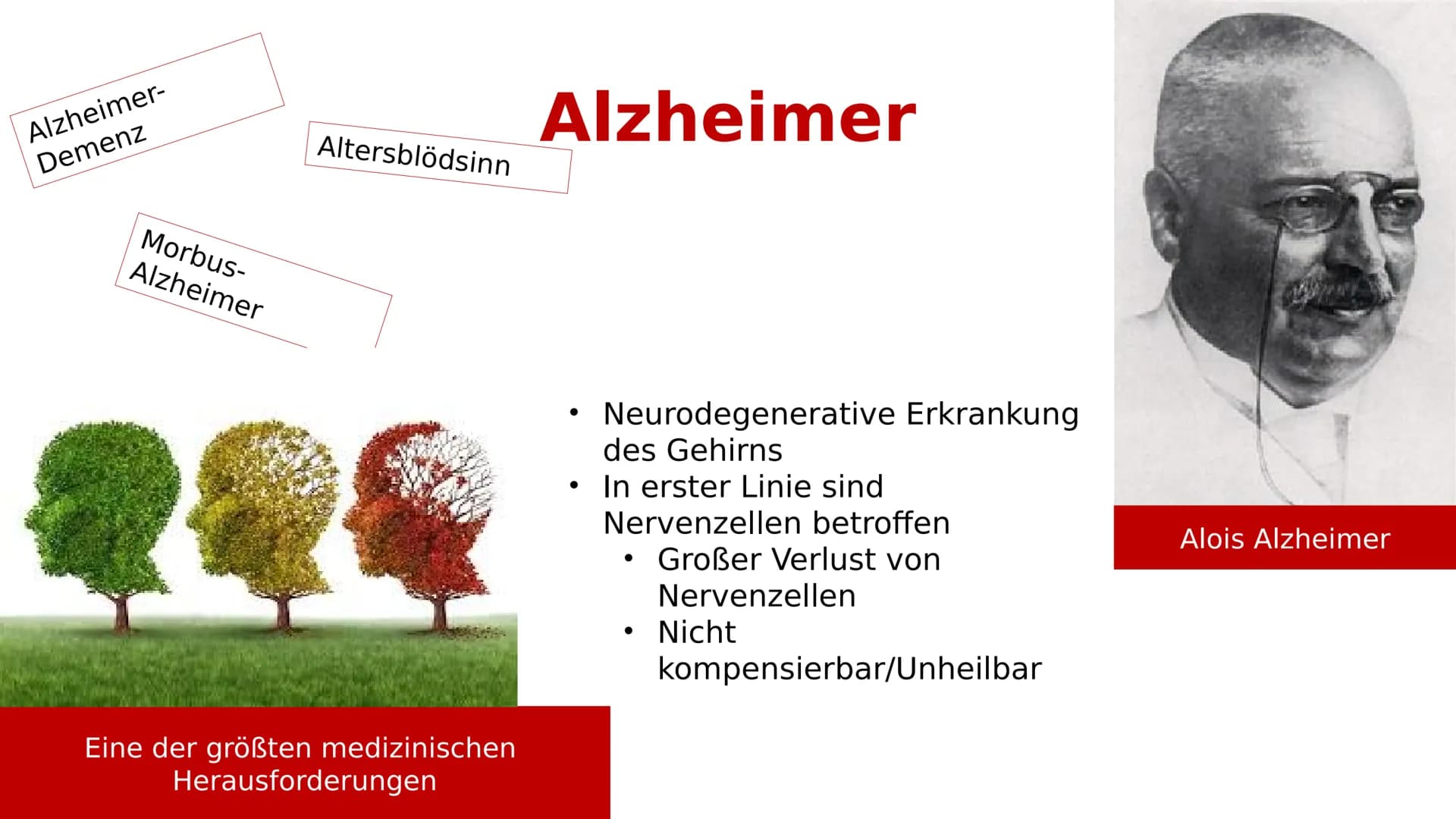 Gesundes Hirn
38
Alzheimer-Demenz
Hirnrinde
Hippocampus
GFS Biologie
Fortgeschrittene Alzheimer-Krankheit
Stark
- geschrumpfte
Rinde
Extrem
