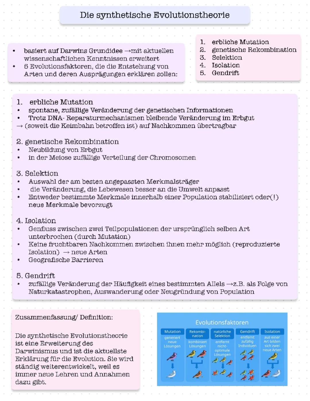 Synthetische Evolutionstheorie