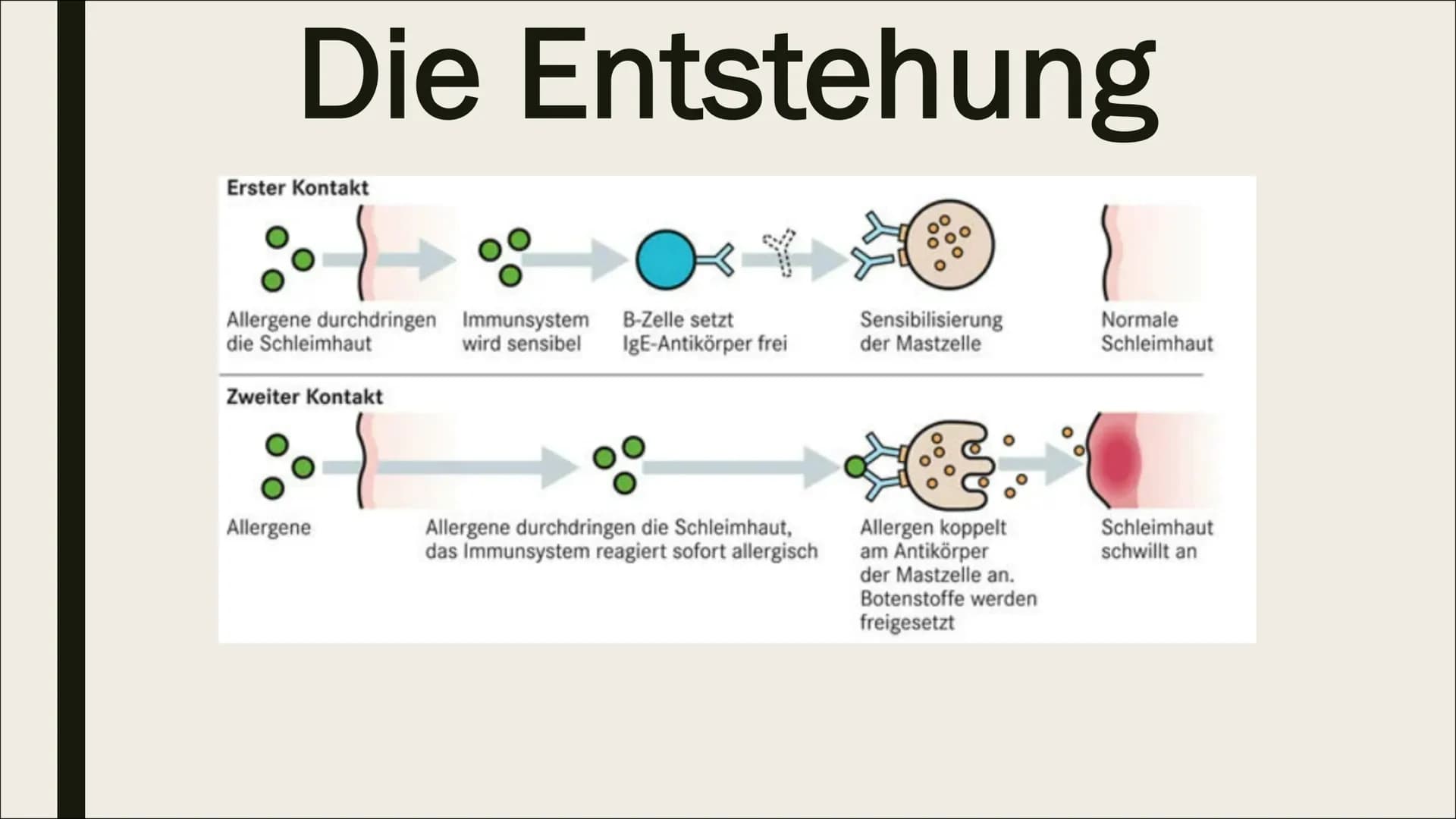 BIOLOGIE-ALLERGIE Gliederung
1. Was ist eine Allergie?
2. Wie entsteht eine Allergie?
3. Wie stelle ich eine Allergie fest?
4. Verschiedene 