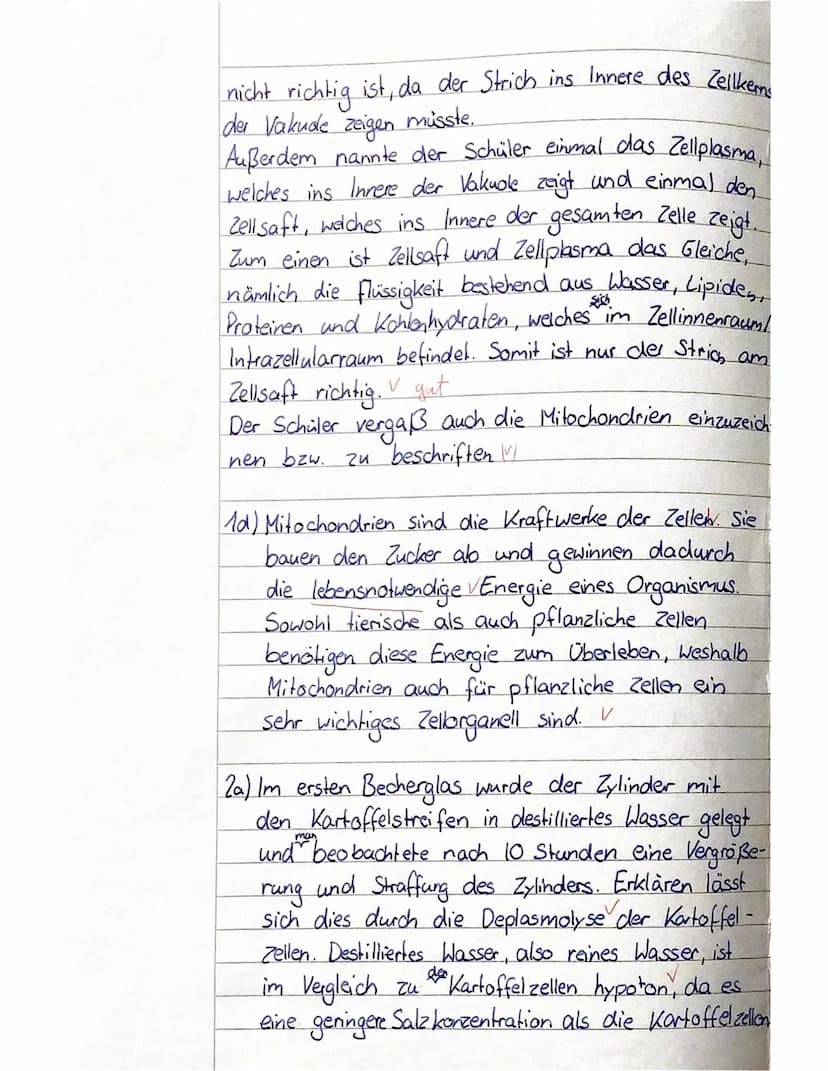 Okular.
Feintrieb
Klasse 11
Name:
?
1. Mikroskopieren
3
Jessline
Klassenarbeit 1 im Fach Biologie
17.11.2022
a) Beschriften Sie die markiert
