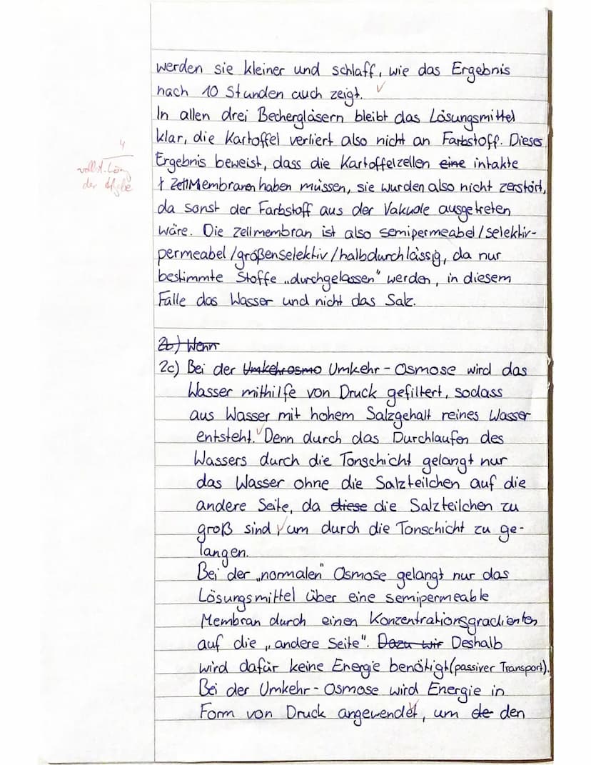 Okular.
Feintrieb
Klasse 11
Name:
?
1. Mikroskopieren
3
Jessline
Klassenarbeit 1 im Fach Biologie
17.11.2022
a) Beschriften Sie die markiert
