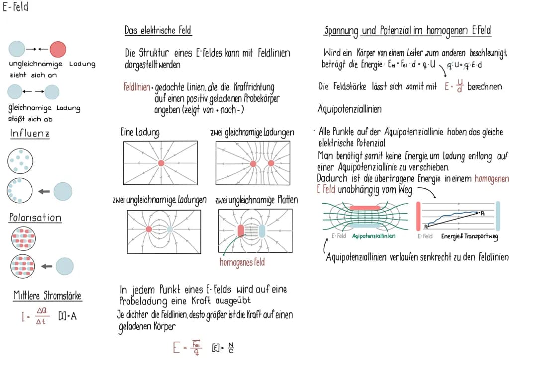 Elektromagnetische Felder (Physikabi 23)