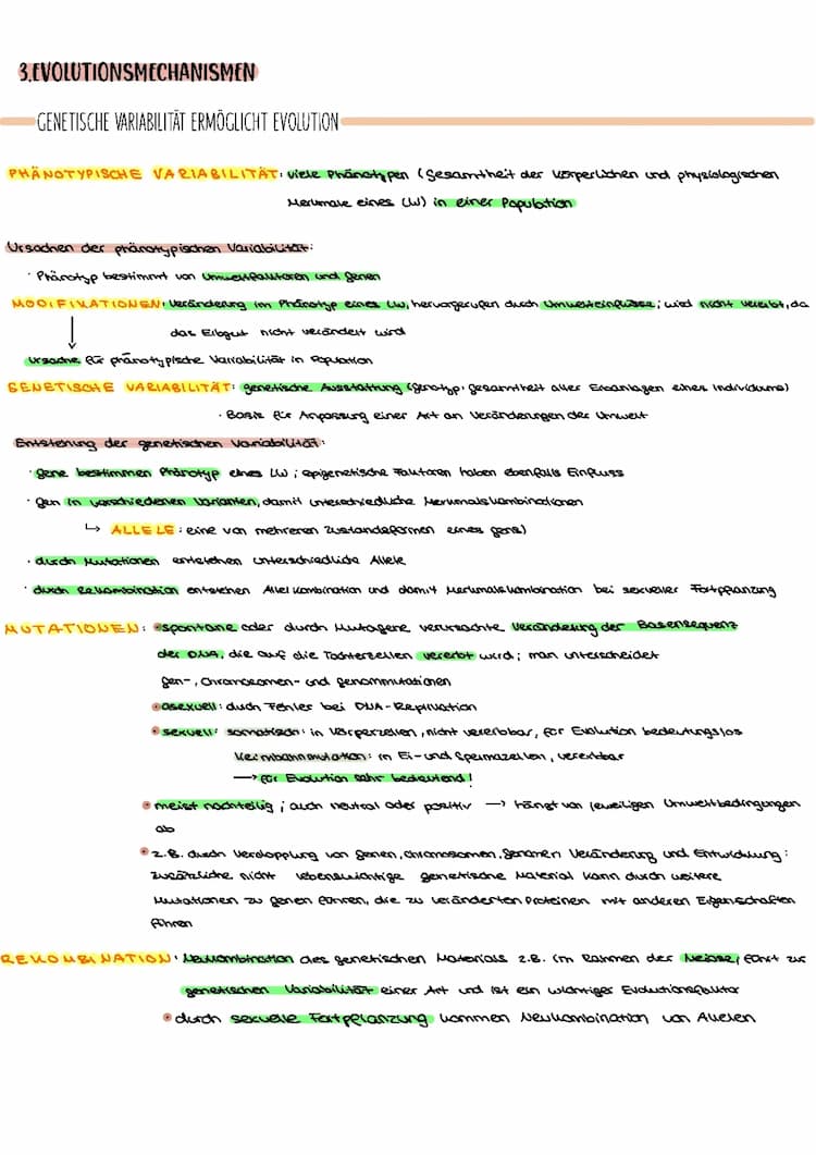 Know Evolution Abitur 2022 thumbnail