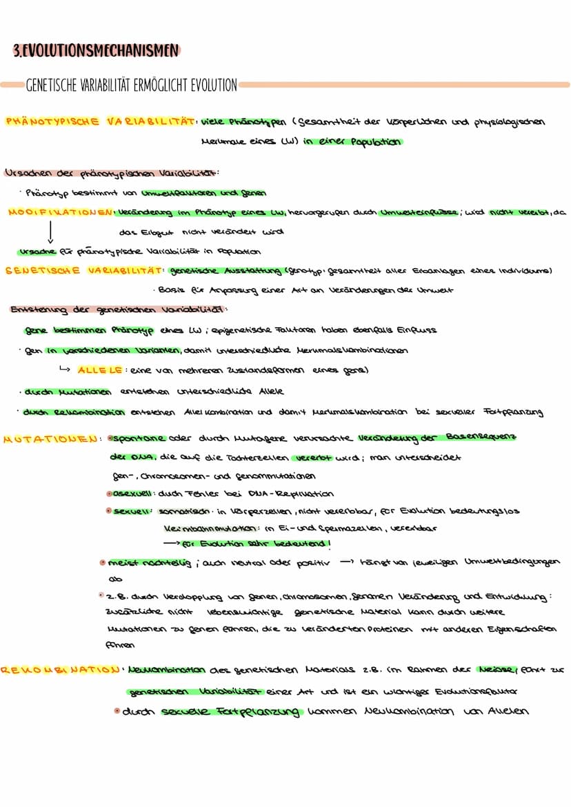 EVOLUTION:alle Prozesse, die zur Entstehung des Lebens in seiner heutigen Form und Vielfalt gefütert haben
L>Änderung der Allelhäufigkeit im