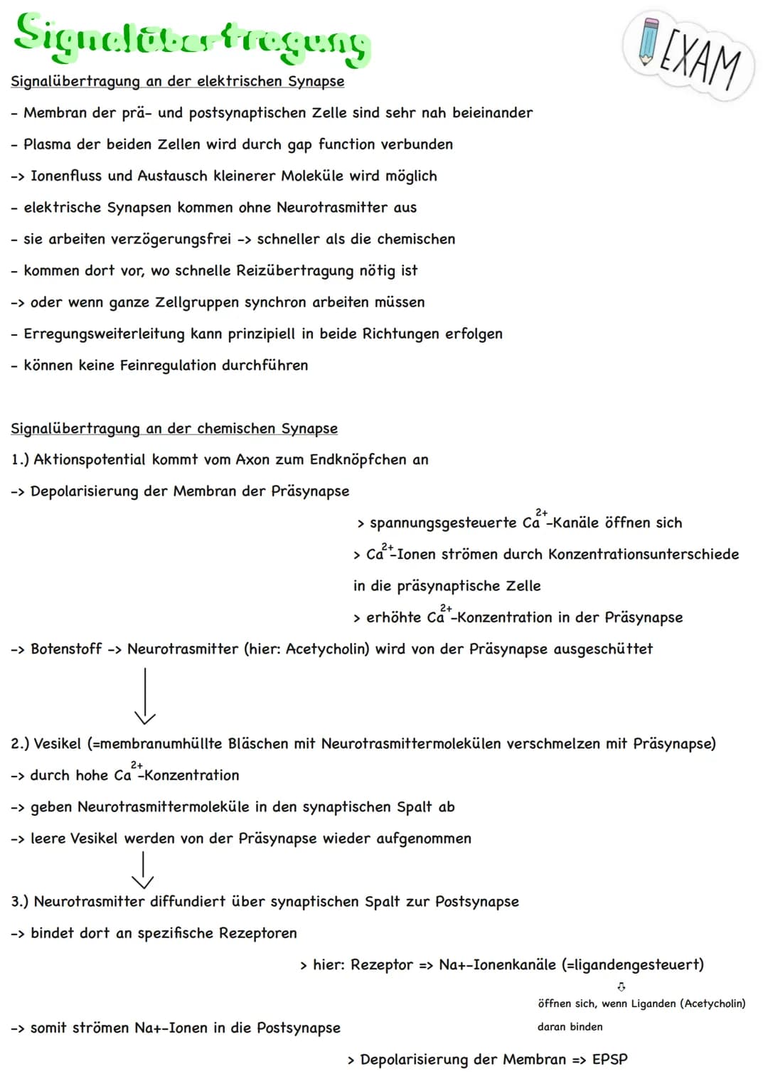 Themen:
Erregungsweiterleitung
➡!! Diagramm-Aufgabe
- Neuronale Verrechnung
- Wie wirkt der Neurotrasmitter an der postsynaptischen Zelle
- 
