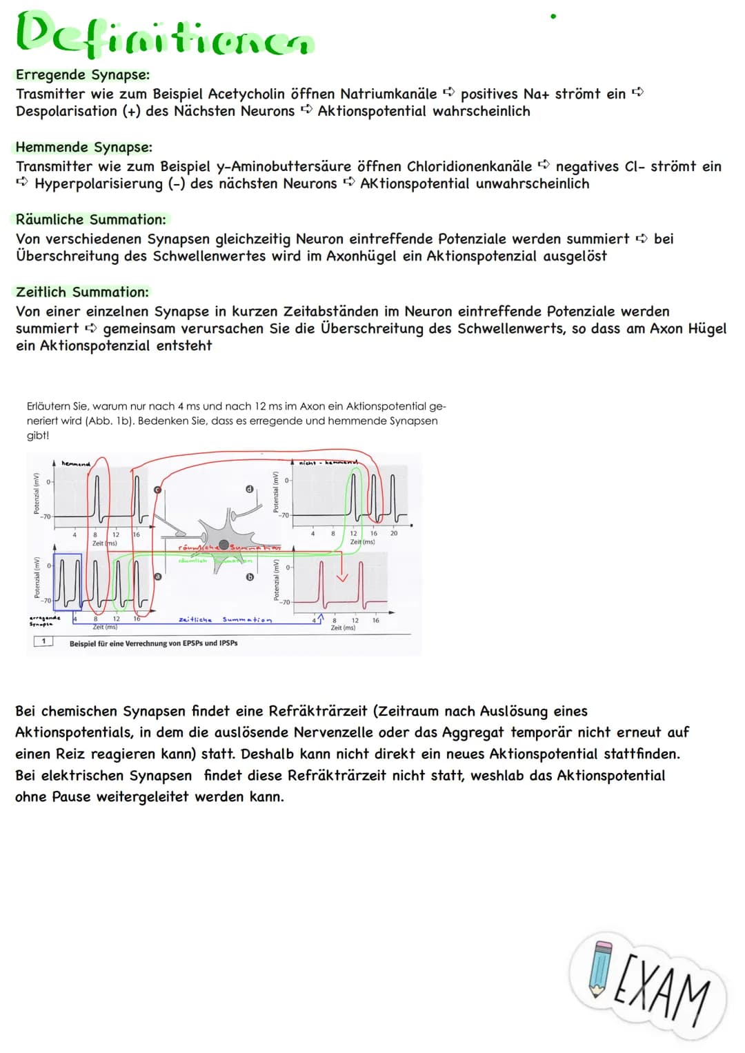 Themen:
Erregungsweiterleitung
➡!! Diagramm-Aufgabe
- Neuronale Verrechnung
- Wie wirkt der Neurotrasmitter an der postsynaptischen Zelle
- 