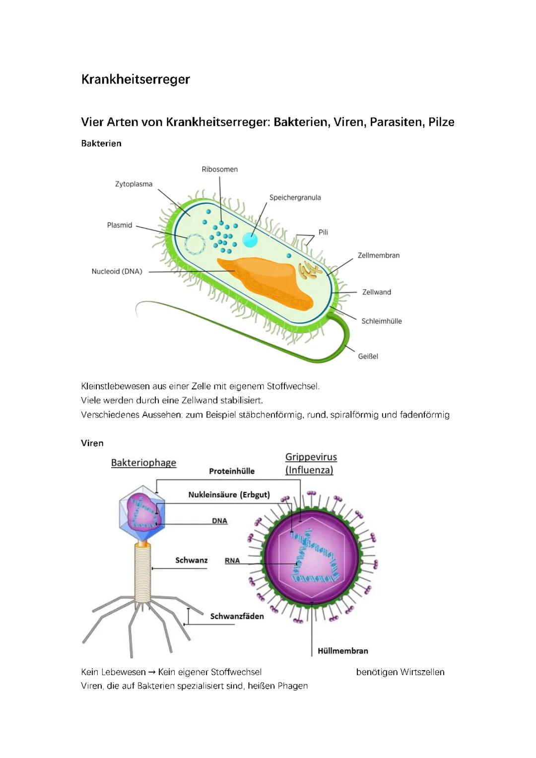 Immunbiologie Zusammenfassung: Krankheitserreger 