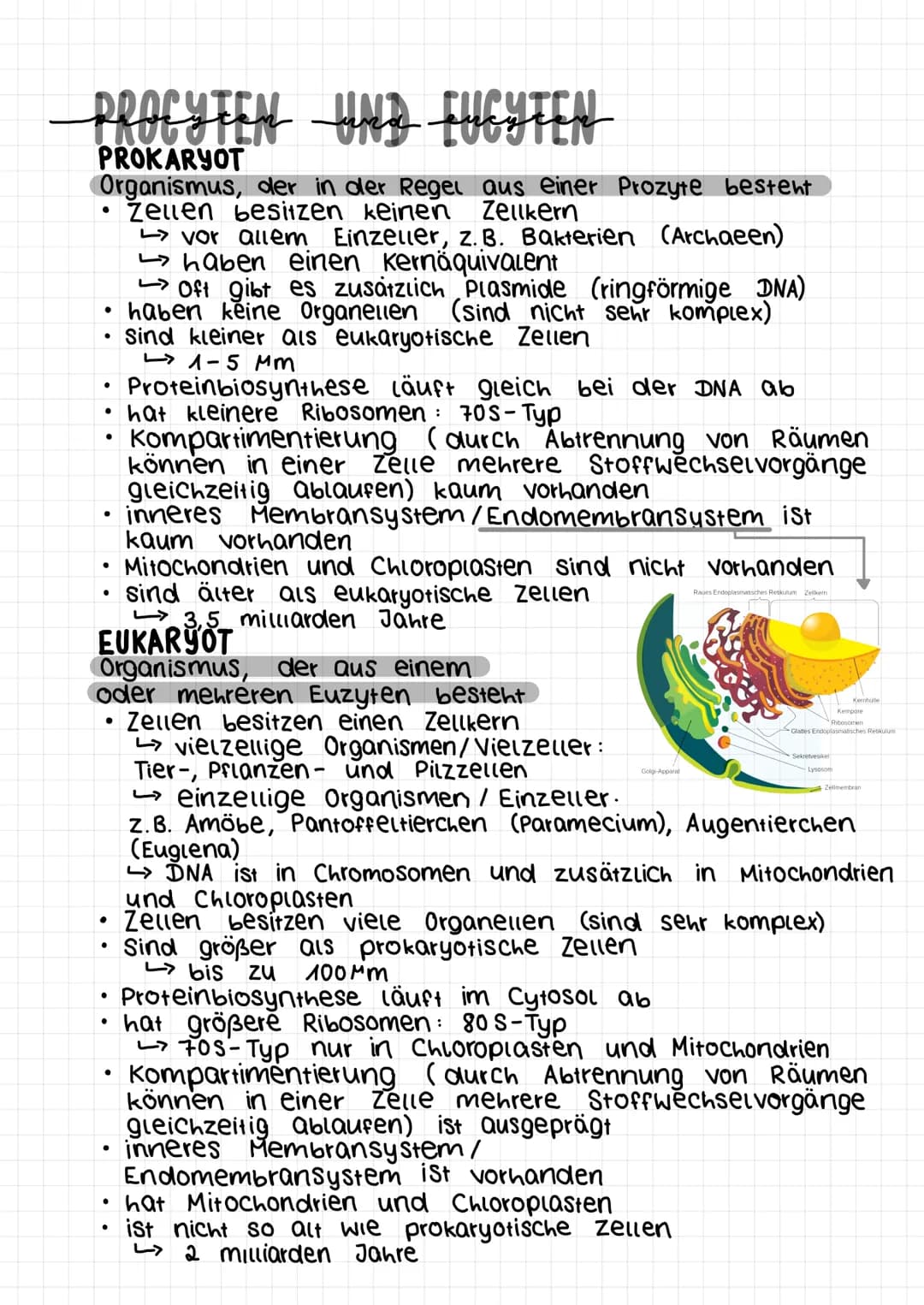 PROCYTEM UND EUCYTEN
und
PROKARYOT
Organismus, der in der Regel aus einer Prozyte besteht
žeuen besitzen keinen Zellkern
●
●
•
●
●
●
●
●
●
v