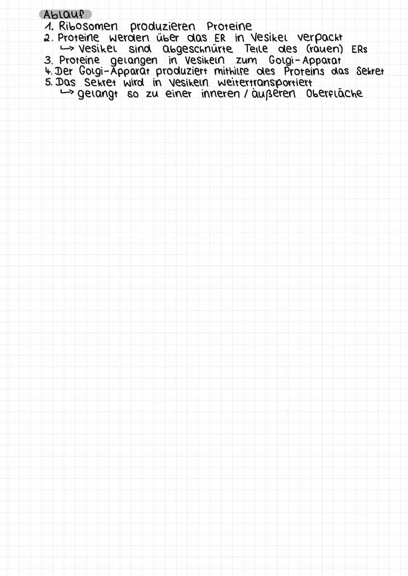 PROCYTEM UND EUCYTEN
und
PROKARYOT
Organismus, der in der Regel aus einer Prozyte besteht
žeuen besitzen keinen Zellkern
●
●
•
●
●
●
●
●
●
v