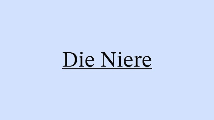 Know Die Niere thumbnail