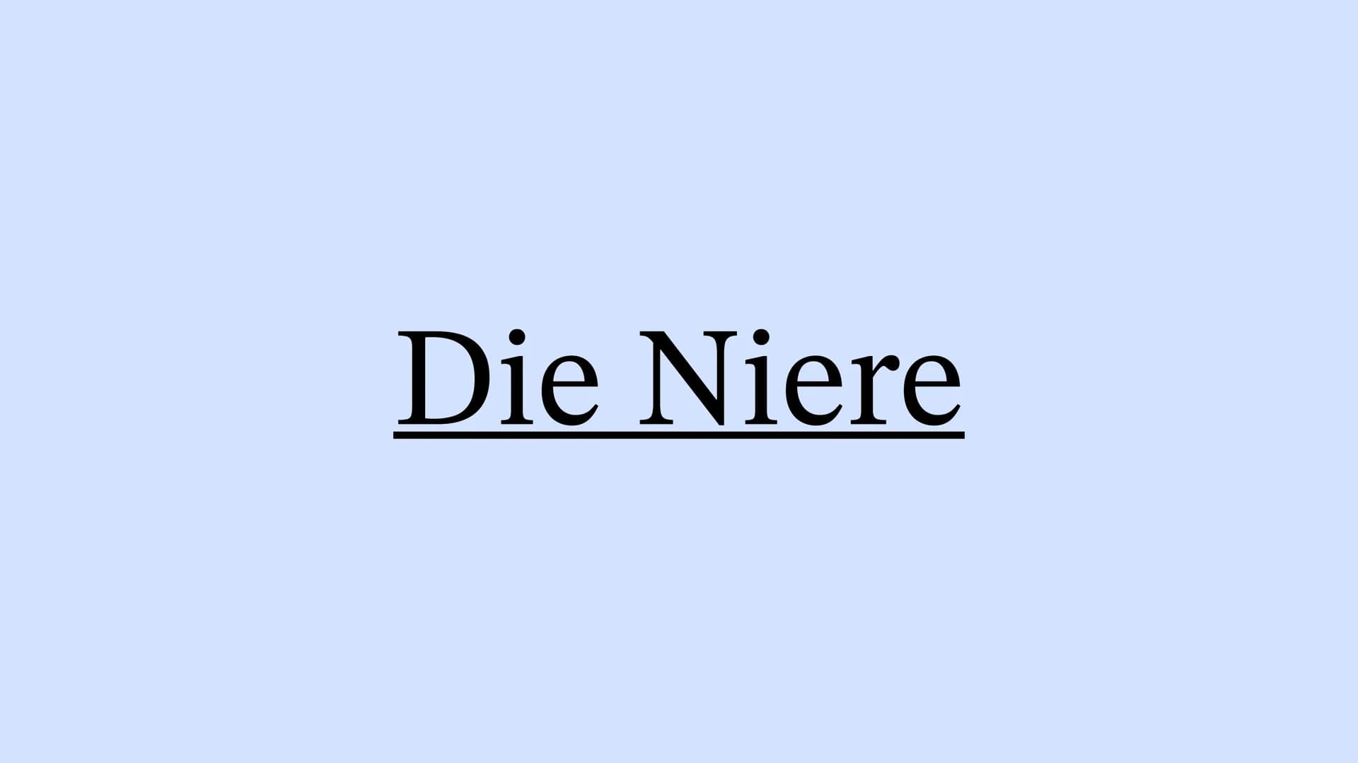 Die Niere Inhaltsverzeichnis
Wo liegt die Niere im Körper?
Aufbau der Niere
Leistung
Henle Schleife
Was wenn die Niere Versagt? Wo liegt die
