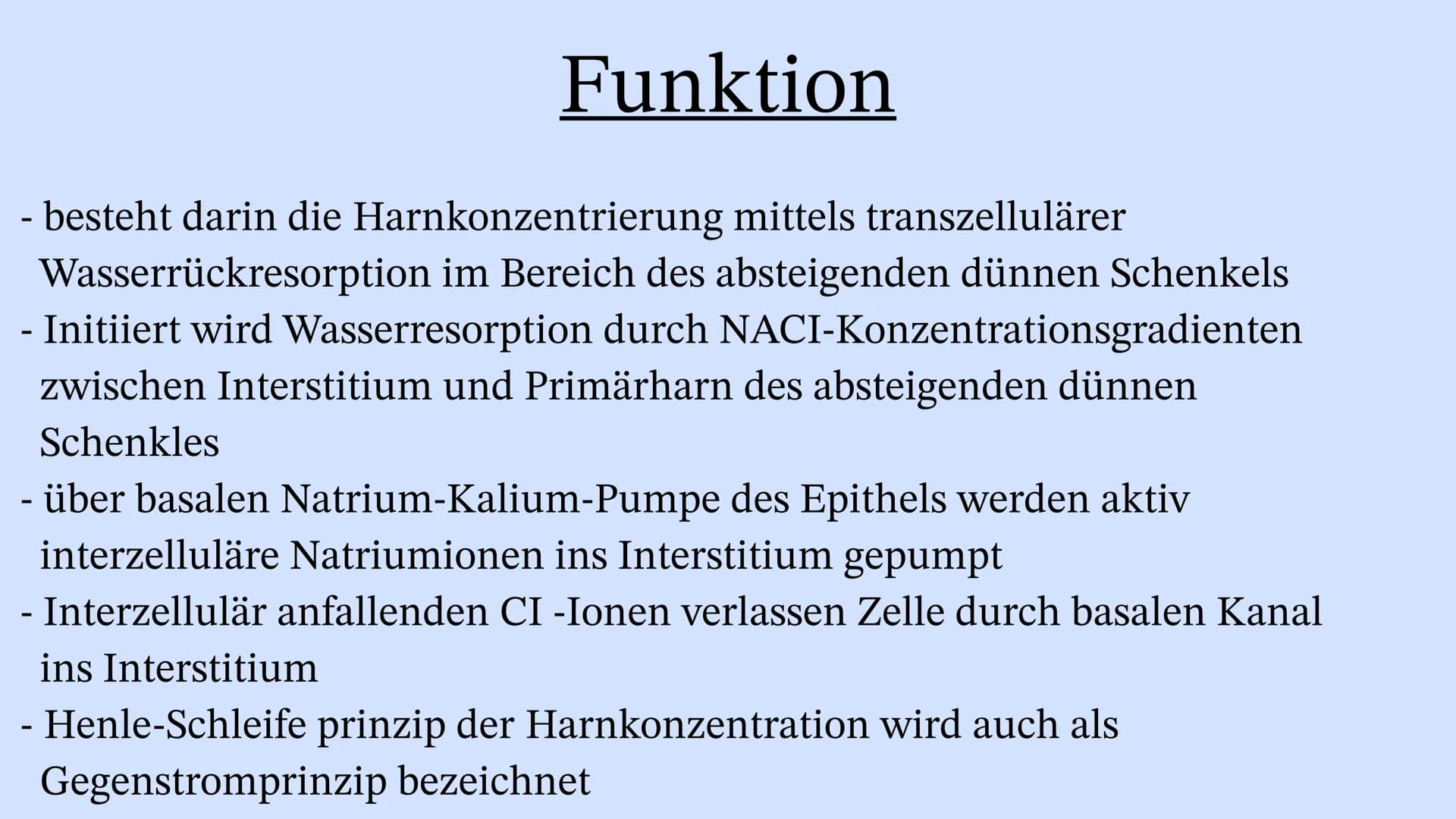 Die Niere Inhaltsverzeichnis
Wo liegt die Niere im Körper?
Aufbau der Niere
Leistung
Henle Schleife
Was wenn die Niere Versagt? Wo liegt die