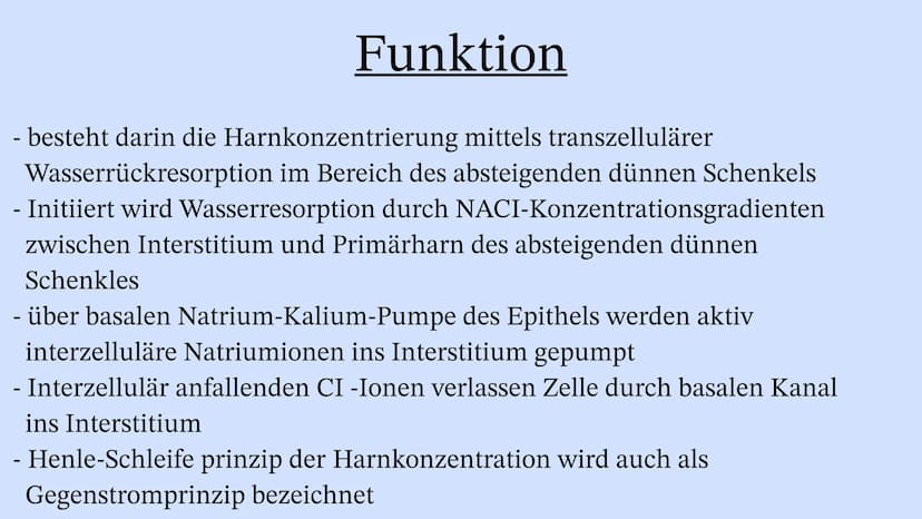 Die Niere Inhaltsverzeichnis
Wo liegt die Niere im Körper?
Aufbau der Niere
Leistung
Henle Schleife
Was wenn die Niere Versagt? Wo liegt die