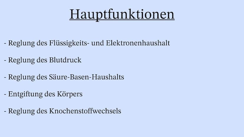 Die Niere Inhaltsverzeichnis
Wo liegt die Niere im Körper?
Aufbau der Niere
Leistung
Henle Schleife
Was wenn die Niere Versagt? Wo liegt die