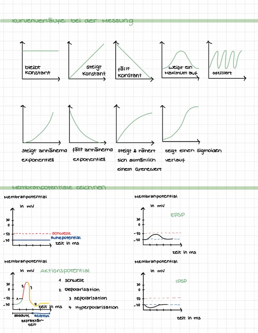 NEUROBIOLOGIE
Bau & Funktion vom Neuron.
Dendrit: Dendriten sina kurce, zweigartige
Fortsatce von Nervenzellen. Sie sind dafür
verantwortlic