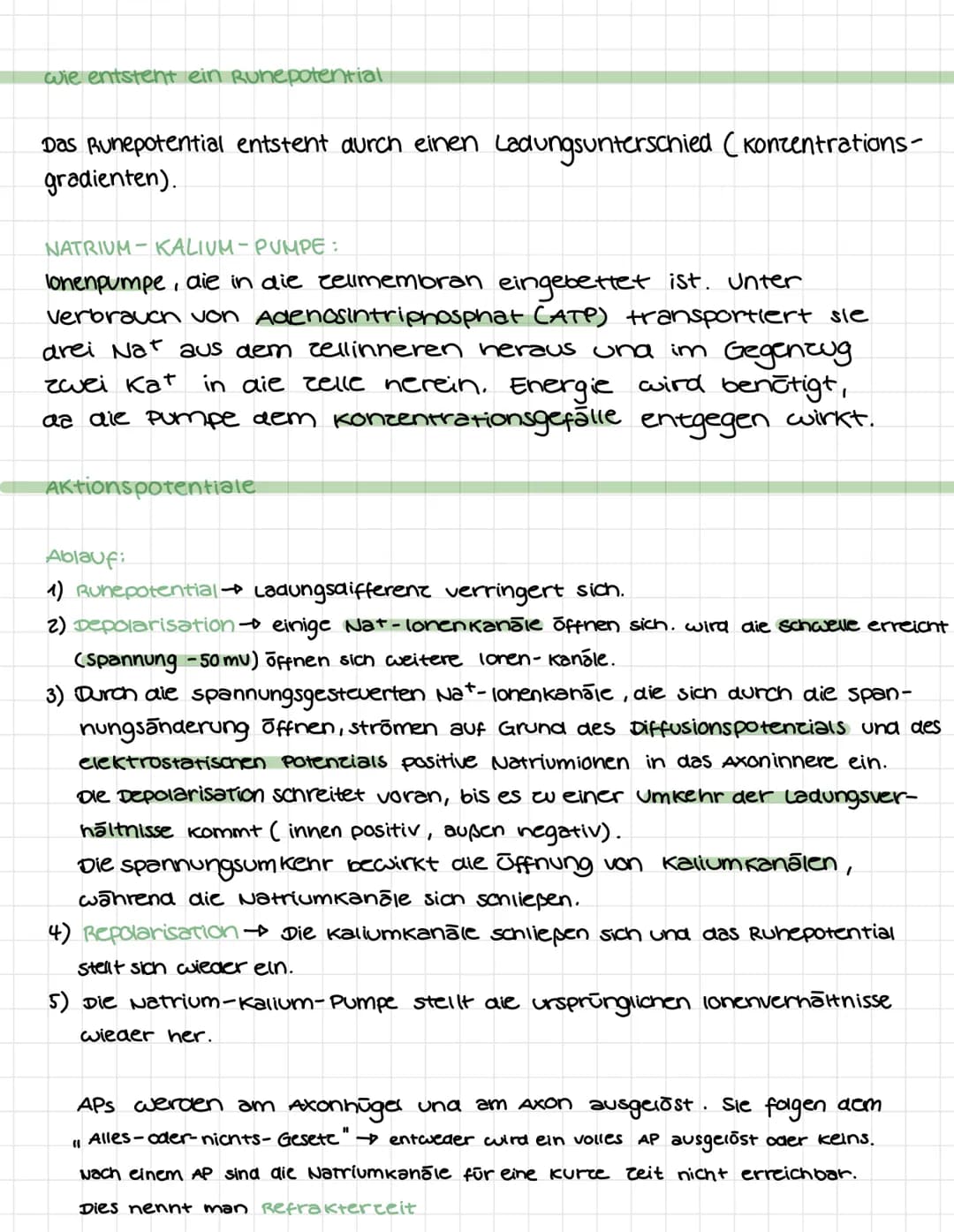 NEUROBIOLOGIE
Bau & Funktion vom Neuron.
Dendrit: Dendriten sina kurce, zweigartige
Fortsatce von Nervenzellen. Sie sind dafür
verantwortlic