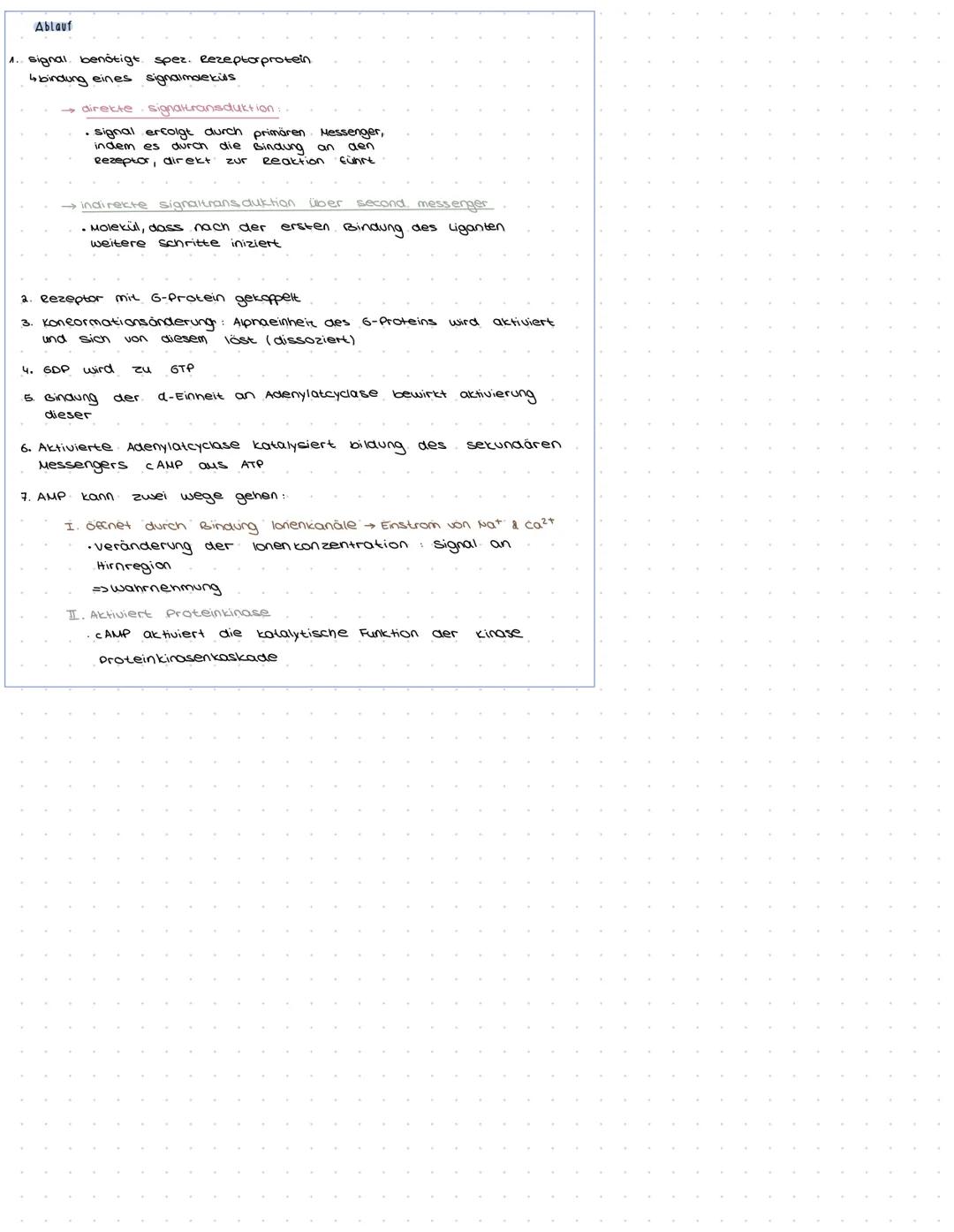 Cederhaut
2. Schicht
Pigmentschicht
gelber Fleck
sengrube
sehnerv
Ganglienzellen
Sennery
Funktion
O
Netzhaut
(Retina)
1. Schicht
4.2 ellschi