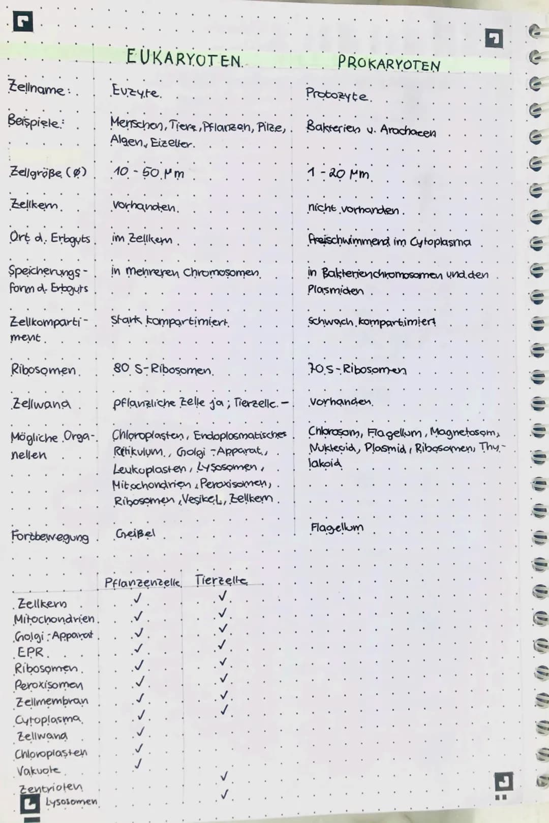 Zellname:
Beispiele:
Zellgröße (0)
Zellkern
vorhanden.
Ort d. Erbguts im Zellkern.
Speicherungs-
form d. Erbguts.
ment.
Ribosomen
Zellwand.
