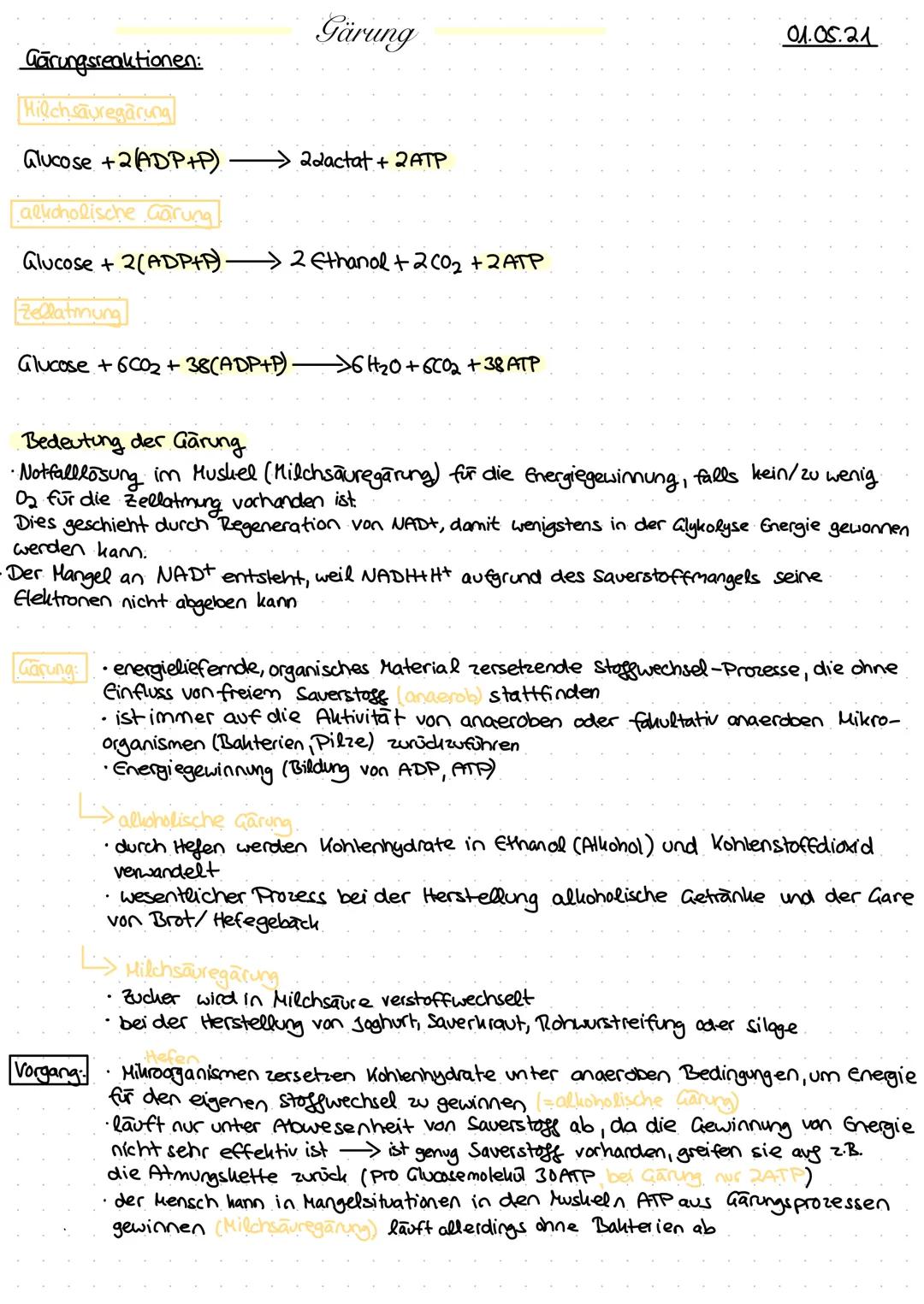 Gärung
01.05.21

Gärungsreaktionen:

Hilchsäuregärung
Glucose +2 (ADP+P) 22actat + 2ATP

allicholische Gärung
Glucose + 2(ADP+P) 2 Ethanol +