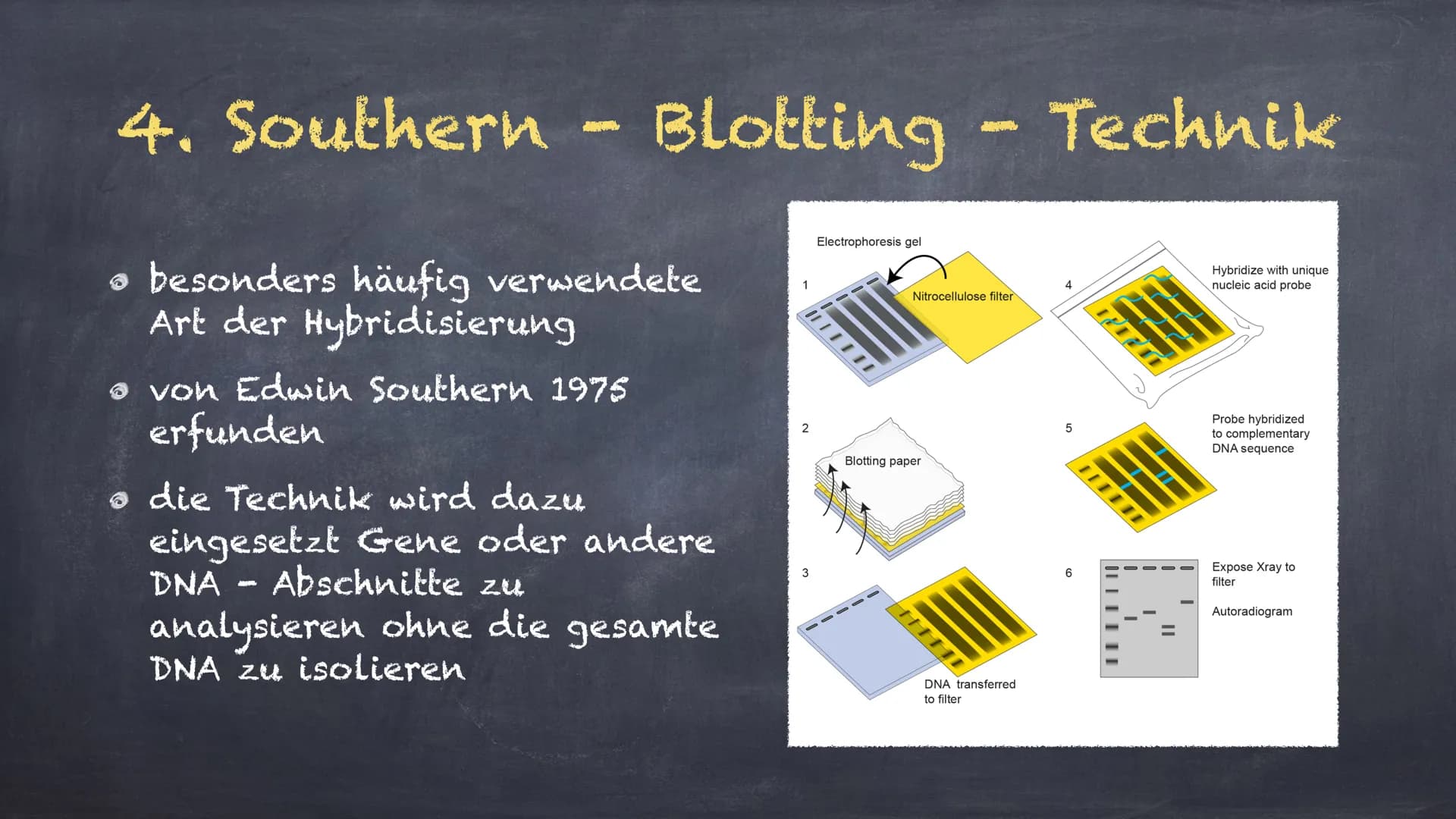 DNA - Hybridisierung
Eine Präsentation von Linda und Michelle Inhalte:
1. Was ist DNA- Hybridisierung?
2. Ablauf der Hybridisierung
3. Aussa