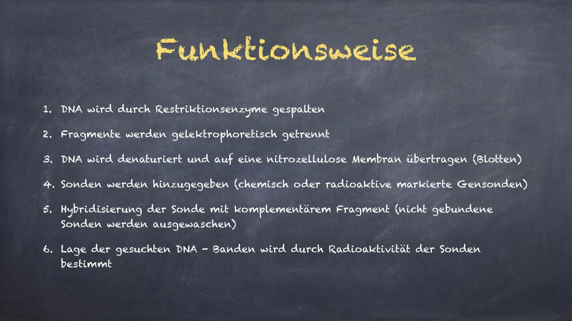 DNA - Hybridisierung
Eine Präsentation von Linda und Michelle Inhalte:
1. Was ist DNA- Hybridisierung?
2. Ablauf der Hybridisierung
3. Aussa