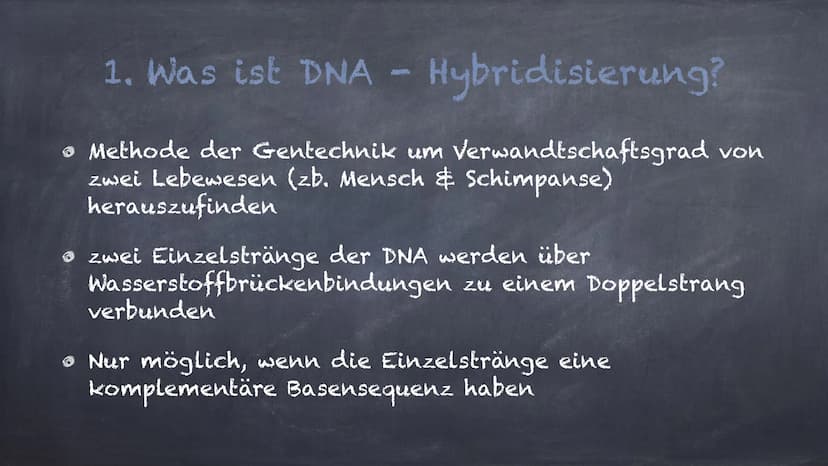 DNA - Hybridisierung
Eine Präsentation von Linda und Michelle Inhalte:
1. Was ist DNA- Hybridisierung?
2. Ablauf der Hybridisierung
3. Aussa