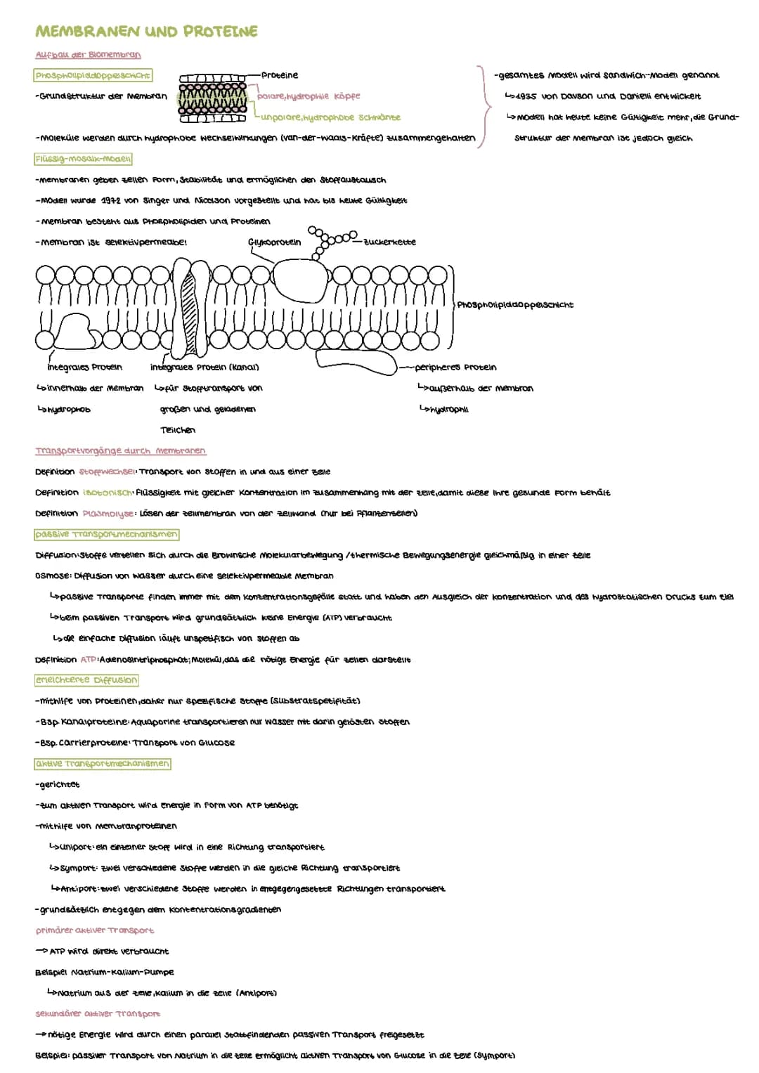 Membranen und Proteine | Enzymatik |