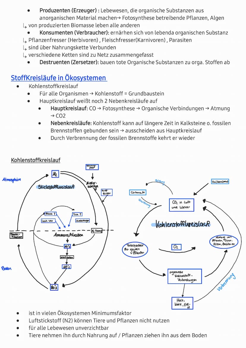 
<h2 id="abiotischefaktoren">Abiotische Faktoren</h2>
<p>Abiotische Faktoren beeinflussen die Aktivität von Lebewesen. Wenn ein Faktor in Ex