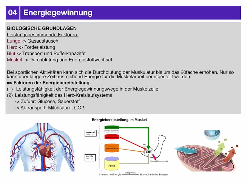 Sport J2.2
AUSDAUER
-klausurzusammenfassung -
- Gliederung
-> Bedeutung der Ausdauer für sportliche Leistung
-> motorische Fähigkeiten
-> Au
