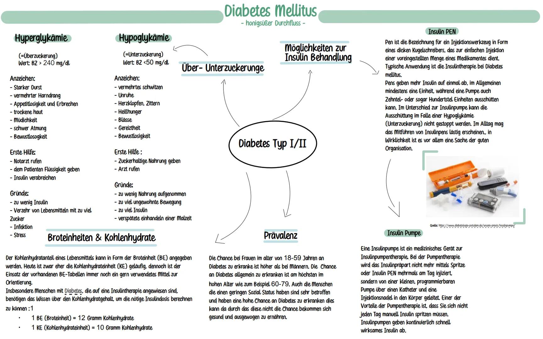 Folgen
Spätschäden:
-Arteriosklerose (Durch den hohen Blutzuckerspiegel kommt es zu Ablagerung und Schäden bei den
Gefäßwänden.
LOft betroff